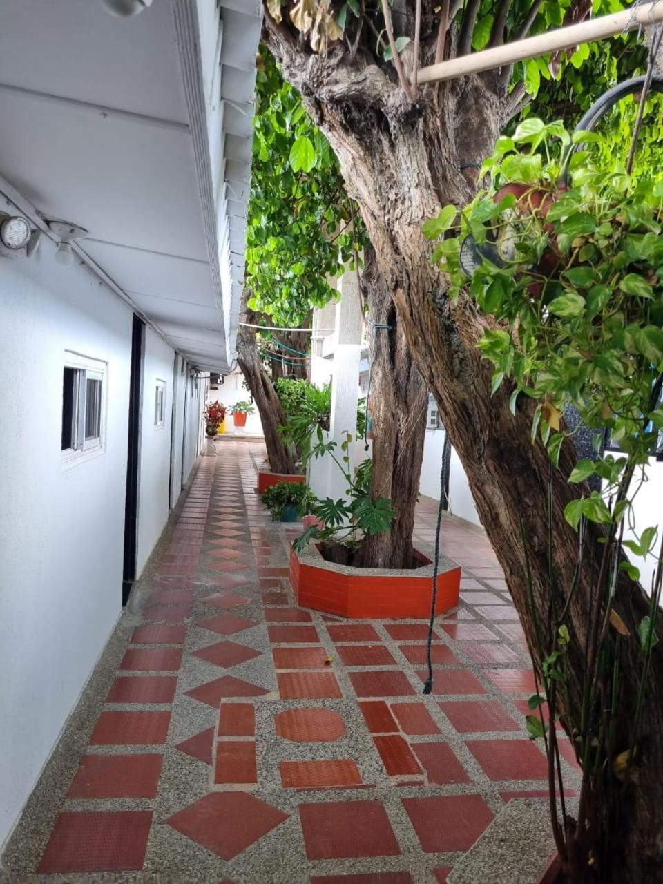 Hotel Mayte Fonseca Exterior foto